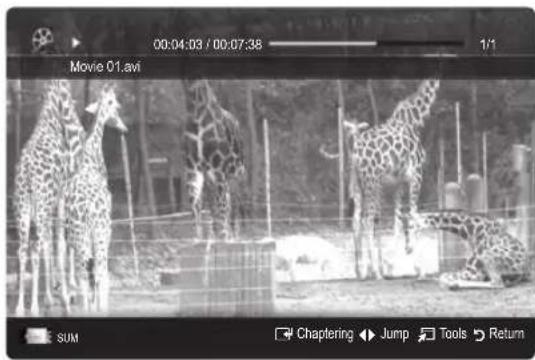 Black-and-white photo of giraffes in a zoo enclosure, no visible text or symbols on the animals or background.