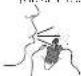 PHILIPS MG7785 - Cleaning the nose trimmer - 3