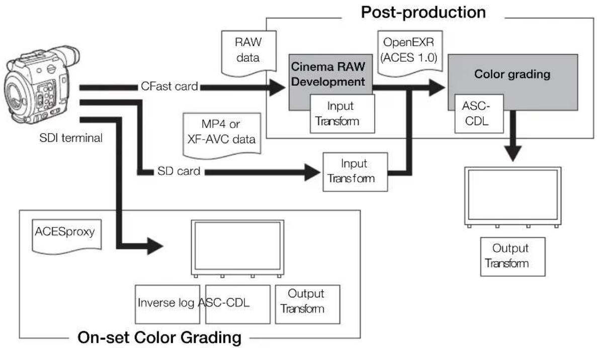 graph TD A["Camera"] -->|CFast card| B["Cinema RAW Development"] B -->|Input Transform| C["Color grading"] C --> D["ASC-CDL"] D --> E["Output Transform"] F["SDI terminal"] -->|CP Fast card| B G["MP4 or XF-AVC data"] -->|MP4 or XF-AVC data| B H["ACESproxy"] --> I["Inverse log ASC-CDL"] H --> J["Outpu…