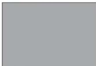 Blank gray image with no visible content, text, or symbols
