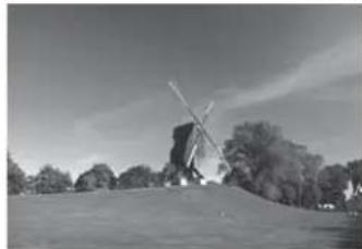 Black-and-white photo of a traditional windmill on a grassy hillside with trees in the background (no visible text or symbols)
