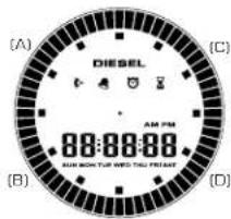 (A) DIESEL (C) AM PM (B) SUNION THE BIG YOU ARE? (D)