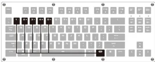 Cropped image of a standard keyboard layout with gray and black keys, some showing text or symbols.