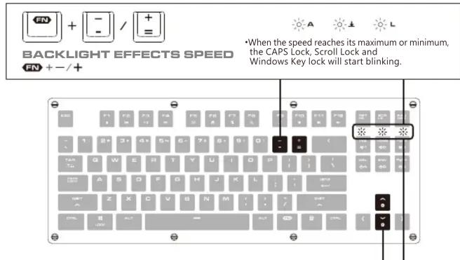 FIN + - / + BACKLIGHT EFFECTS SPEED FN + -/+ *When the speed reaches its maximum or minimum, the CAPS Lock, Scroll Lock and Windows Key lock will start blinking.