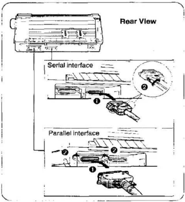 Rear View Serial interface Parallel interface