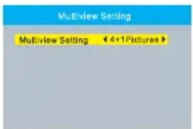 Multiview Setting Multiview Setting 4+1 Pictures