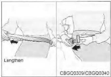 Lengthen CBGQ0339/CBGQ0340