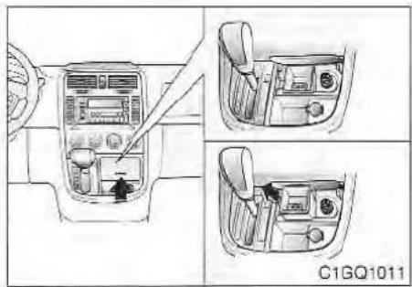 C1GQ1011