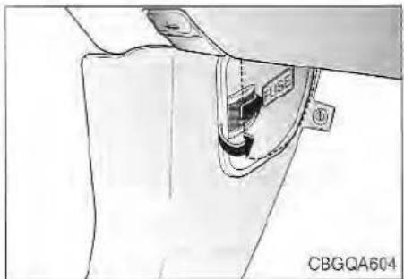 FLUSE CBGQA604