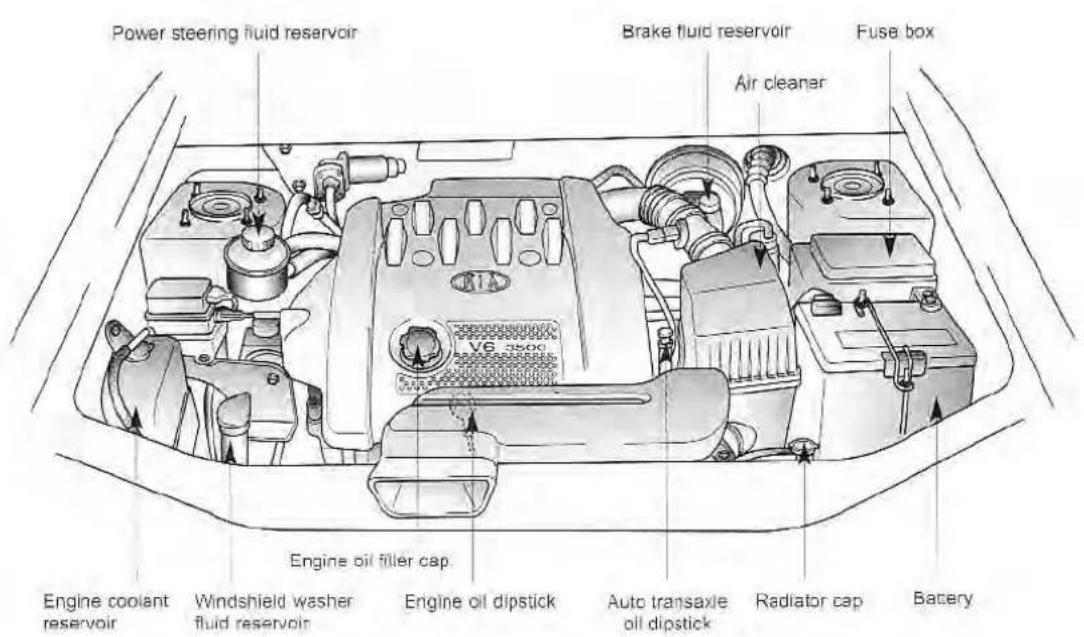Power steering fluid reservoir Brake fluid reservoir Fuse box Air cleaner Engine oil filler cap Engine coolant reservoir Windshield washer fluid reservoir Engine oil dipstick Auto transaxle oil dipstick Radiator cap Battery