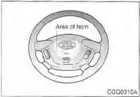 Area of horn RAS CGQ0310A