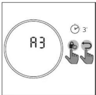 A3 3'