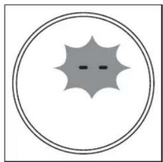 Simple geometric diagram with a star-like shape inside a circle (no text or symbols)