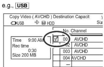 e.g., USB Copy Video ( AVCHD ) Destination Capacity USB HDD Size No. Channel Time 9:00 AM 00 AVCHD Rec time 0:30 02 AVCHD Size 200 MB 003 AVCHD 004 AVCHD —