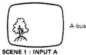 Bus A SCÈNE 1 : ENTRÉE A
