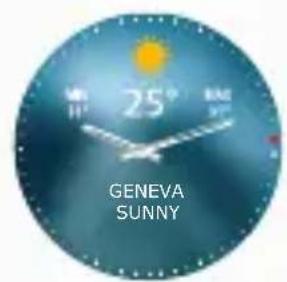 25° GENEVA SUNNY