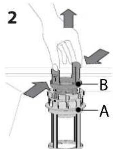 2 A B