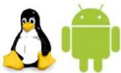 ACS ACR39T-A1 - Device Driver Operating System Support - 13