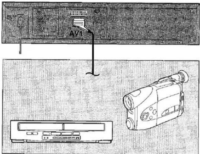 AV1