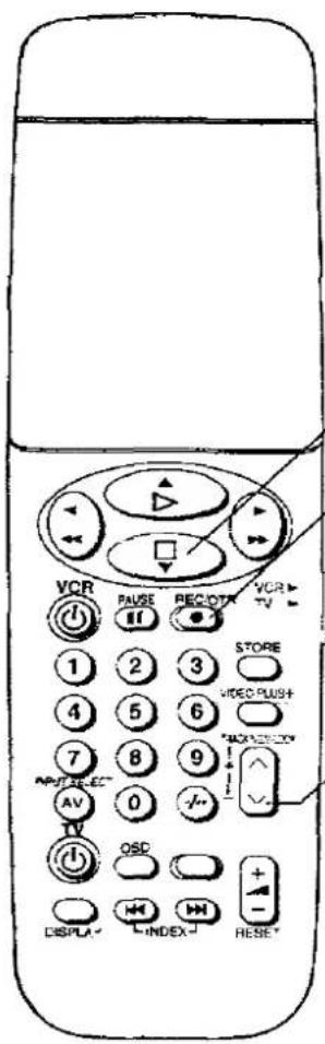 VCR PAUSE REC VCR TV 1 2 3 STORE 4 5 6 HEDD PUSH 7 8 9 *AC/DC/VI AV 0 +/- DISPLA INDEX RESE