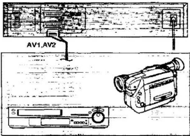 AV1,AV2