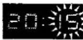 PANASONIC NV-HD100B - For Example: - 12