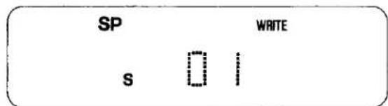 SP WRITE s