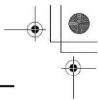 Pure geometric diagram with intersecting lines and circles, no text or symbols present.