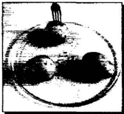 Croquis abstrait en noir et blanc d'une sphère avec trois formes circulaires sombres et une petite figure humaine sur le dessus (sans texte ni symboles).