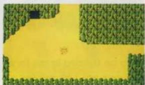 Aerial view of a yellow agricultural field with green vegetation, no visible text or symbols.