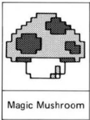 Magic Mushroom