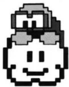 NINTENDO Super Mario Bros (NES) - Beware! The following are deadly: - 9