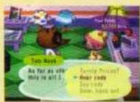 NINTENDO Animal Crossing (GameCube) - Creating Your Own Secret Codes - 2