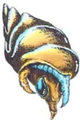 NINTENDO Metroid (NES) - Skree - 5