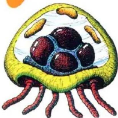 NINTENDO Metroid (NES) - The enemies in Tourian - 5