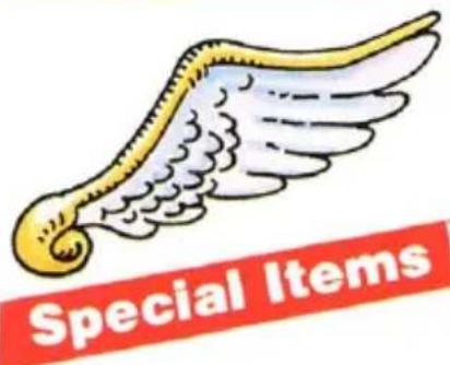 Special Items