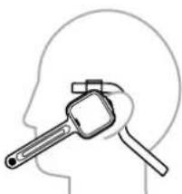 Line drawing of a human head with a gavel inserted into the jaw area (no text or symbols)