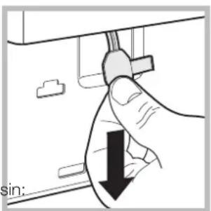 sin: