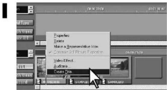 Properties Delete Make a Representative Icon ✓ Constrain Still Picture Proportion Video Effect... Audience... Create Info.