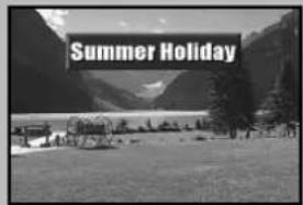 Summer Holiday