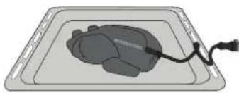 Illustration of a mouse on a tray with a cable, no text or symbols present