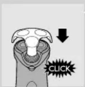 CLICK