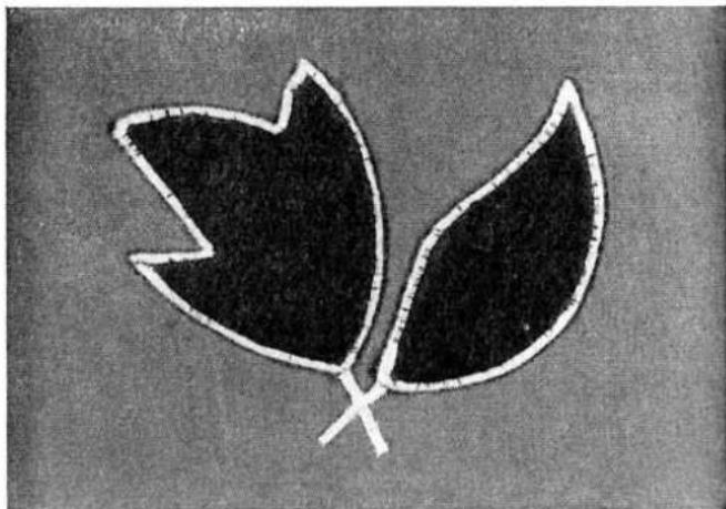 VERITAS Textima 8014/22 - i) Die Fransen - 8