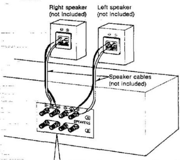 Right speaker (not Included) Left speaker (not Included) Speaker cables (not included) SPEAKERS