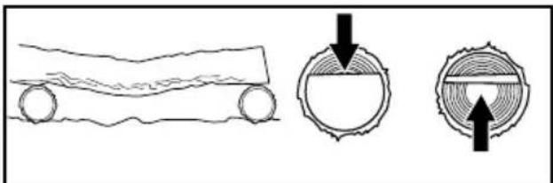 POULAN PL3816 - ■ TIPOS DE CORTES DE SEGMENTACIÓN - 3