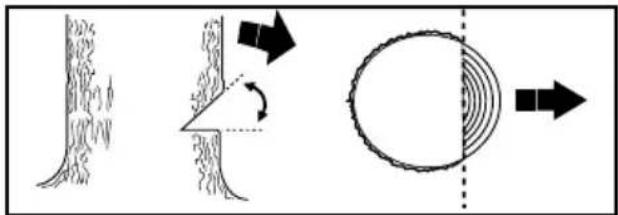 POULAN PL3816 - ■ PLANIFICACIÓN - 5