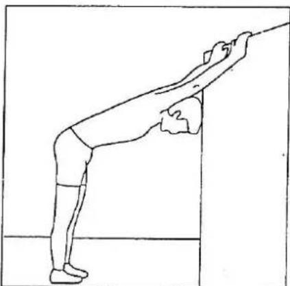 Line drawing of a person performing a forward bend stretch (no text or symbols)