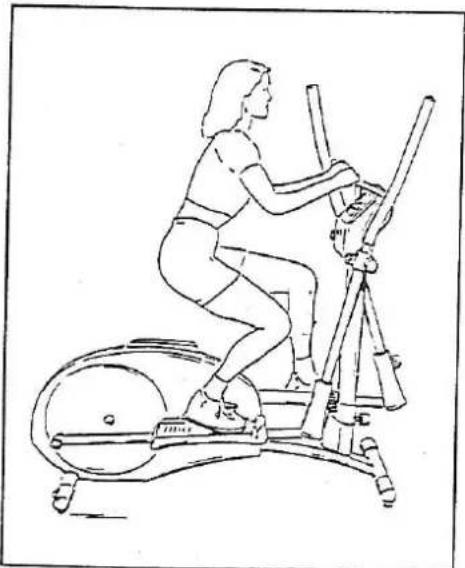 Line drawing of a person exercising on an exercise bike (no text or symbols present)