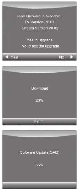 New Fireware is available TV Version v0.01 Stream Version v0.02 Yes to upgrade No to exit the upgrade Download 20% EXIT Software Update(OAD) 66%