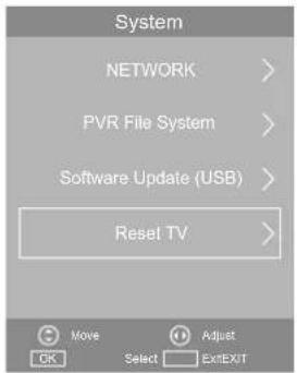 System NETWORK > PVR File System > Software Update (USB) > Reset TV >